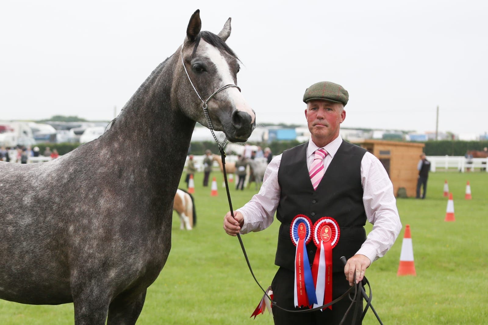 Bonnes Nouvelles SBM — Arab Champion Royal Cornwall Show