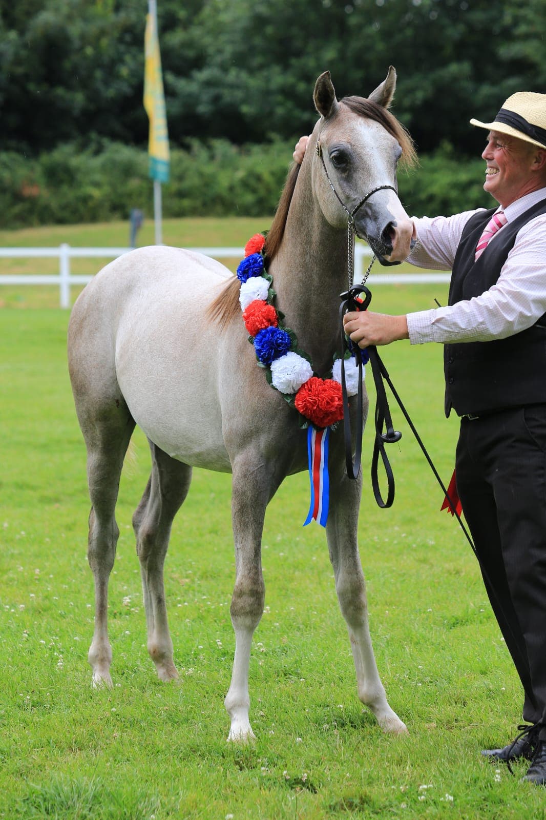 Excelsior SBM — 2018 ECAHO 'C' Gold Champion Junior Male, SWAG Bicton