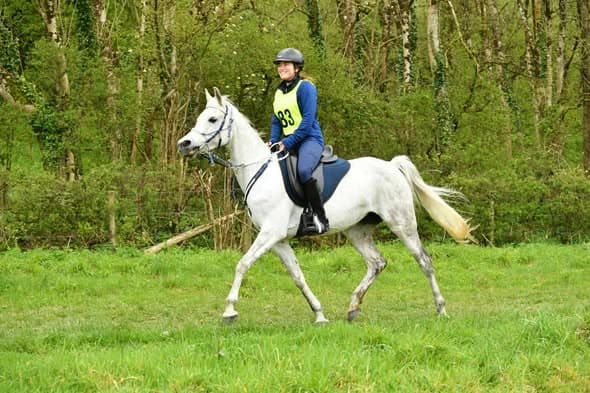 Waditta (DK) in endurance — competition number 83