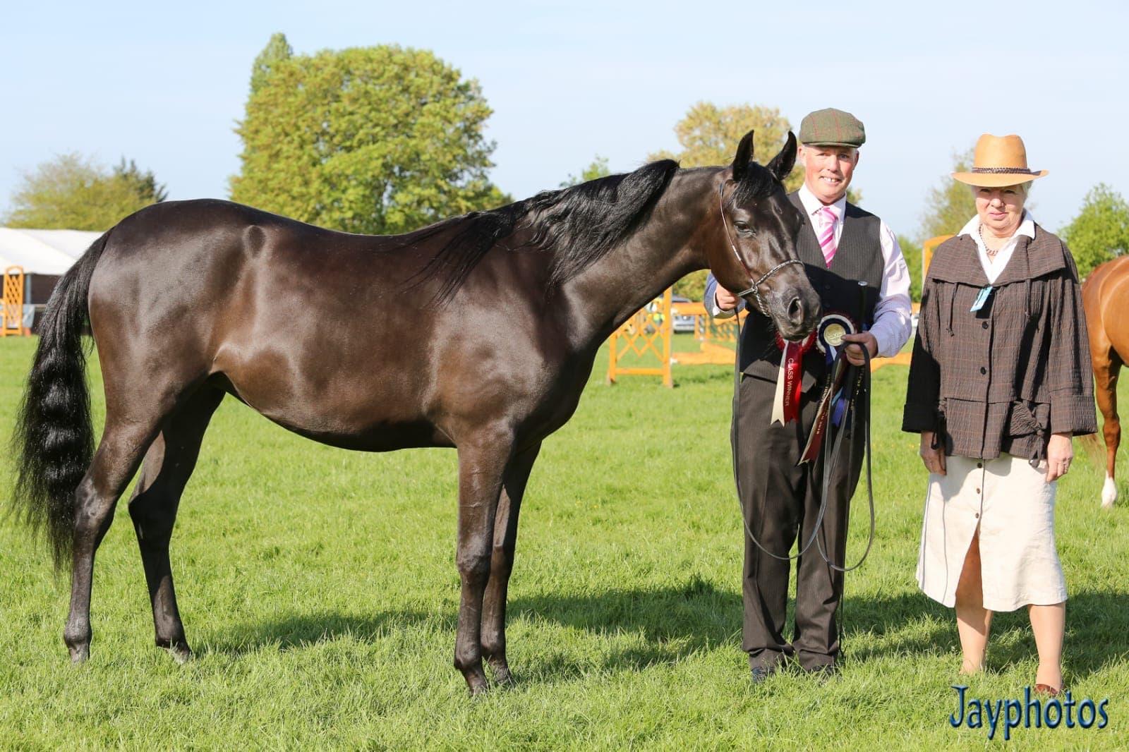 Dominiqua SBM — Arab Champion Devon County Show 2018