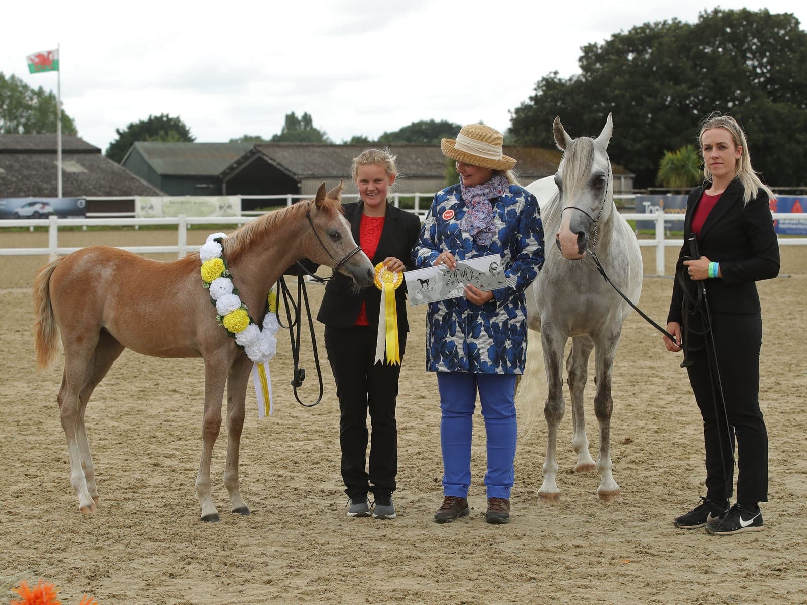 Princess Castra with Princess Morgana SBM — 2019 AHS BNC Bronze Champion Foal